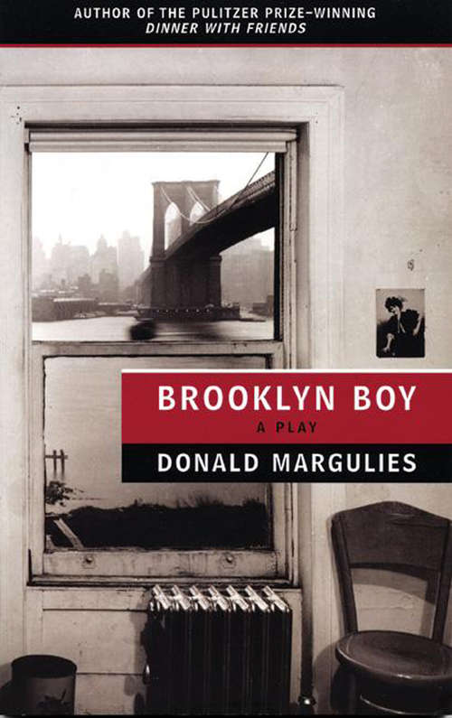 Book cover of Brooklyn Boy