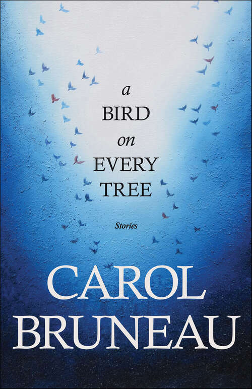 Book cover of A Bird on Every Tree