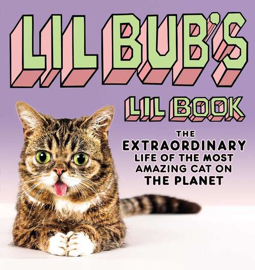 Book cover of Lil BUB's Lil Book: The Extraordinary Life of the Most Amazing Cat on the Planet