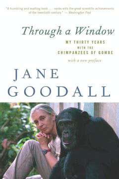 Book cover of Through A Window: My Thirty Years with the Chimpanzees of Gombe (2)