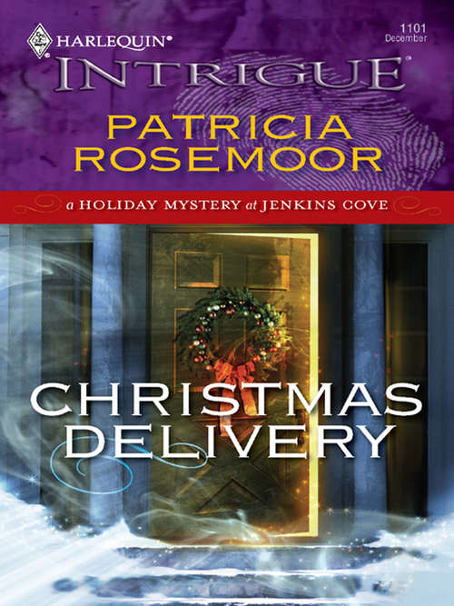 Book cover of Christmas Delivery
