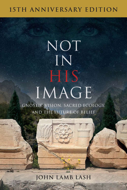 Book cover of Not in His Image (15th Anniversary Edition): Gnostic Vision, Sacred Ecology, and the Future of Belief
