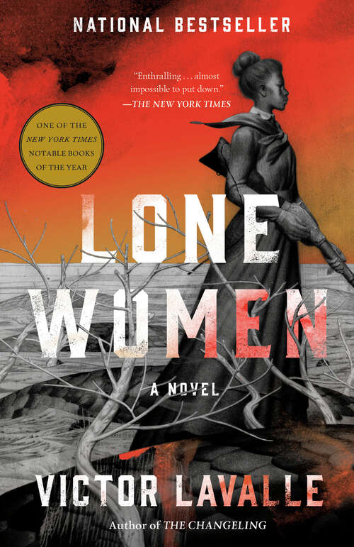 Book cover of Lone Women: A Novel