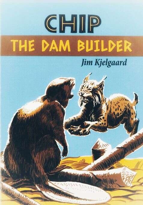 Book cover of Chip the Dam Builder