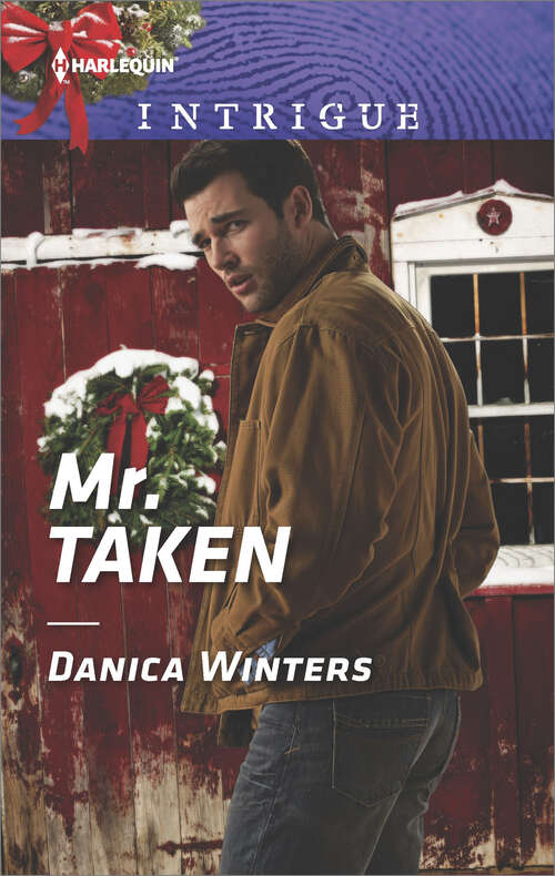 Book cover of Mr. Taken: Shadows In The Night Daddy Defender Mr. Taken (Mystery Christmas #3)