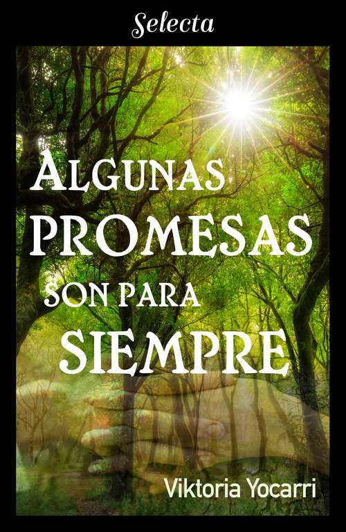 Book cover of Algunas promesas son para siempre