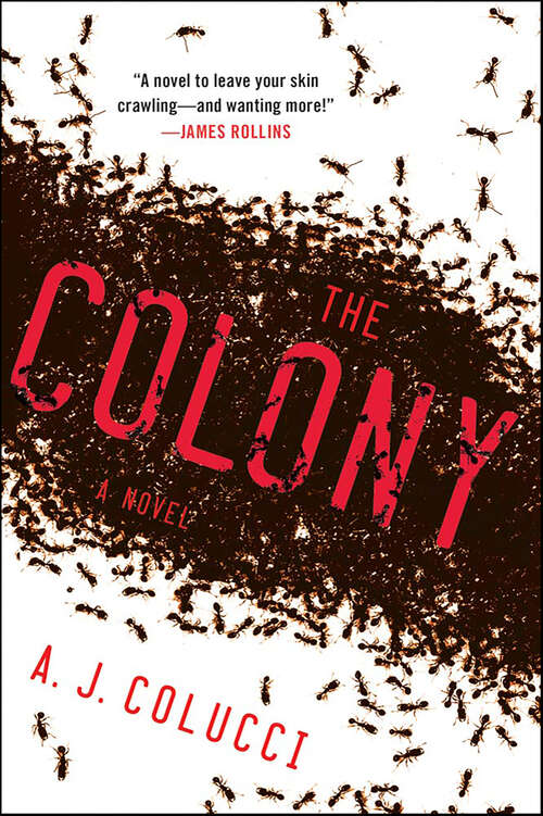 Book cover of The Colony: A Novel