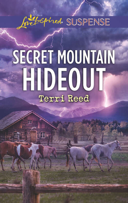 Book cover of Secret Mountain Hideout (Original)