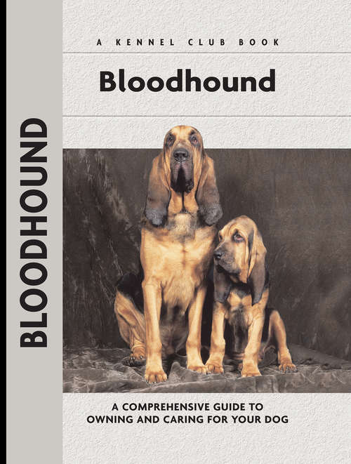 Book cover of Bloodhound