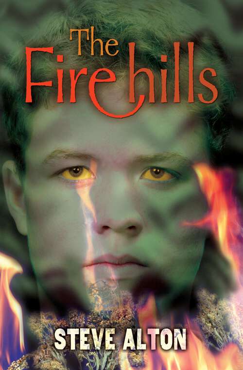 Book cover of The Firehills