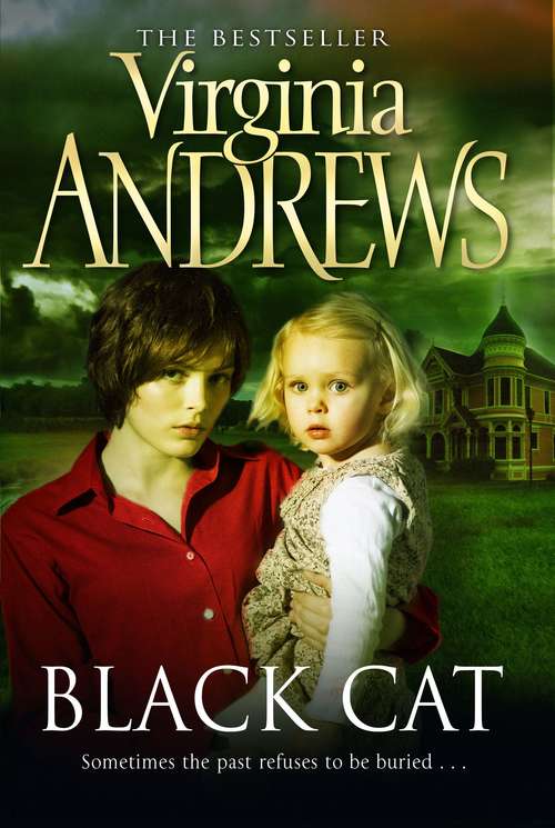 Book cover of Black Cat (Gemini No. 2)