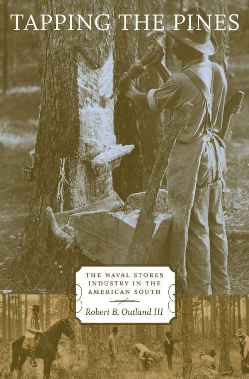 Book cover of Tapping the Pines