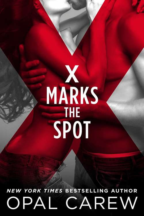 Book cover of X Marks the Spot