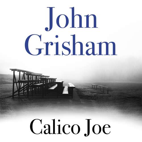 Book cover of Calico Joe: An unforgettable novel about childhood, family, conflict and guilt, and forgiveness