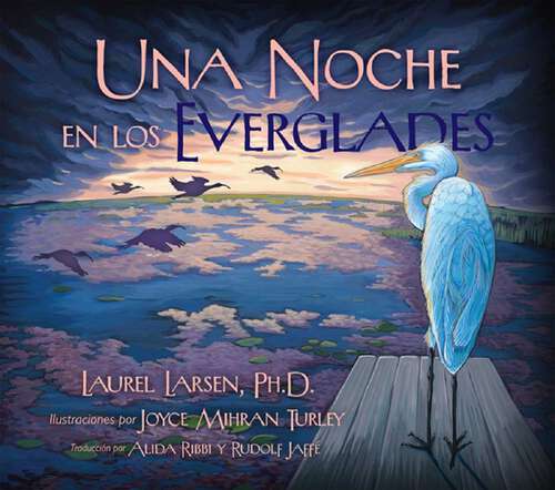 Book cover of Noche en los Everglades
