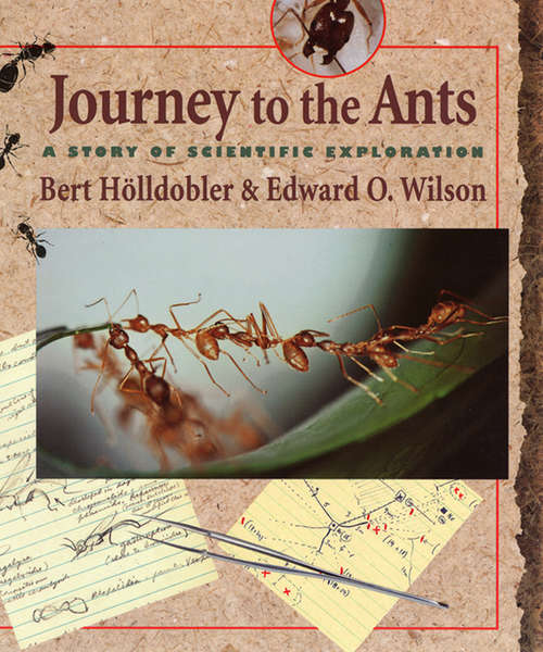 Book cover of Journey to the Ants: A Story of Scientific Exploration