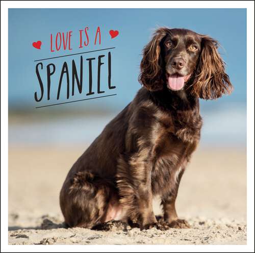 Book cover of Love is a Spaniel: A Dog-Tastic Celebration of the World’s Most Lovable Breed