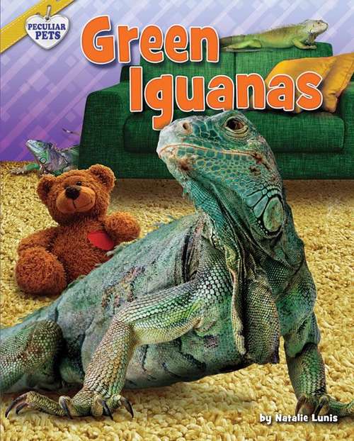 Book cover of Green Iguanas (Peculiar Pets)