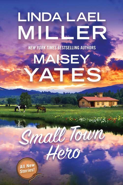 Book cover of Small Town Hero