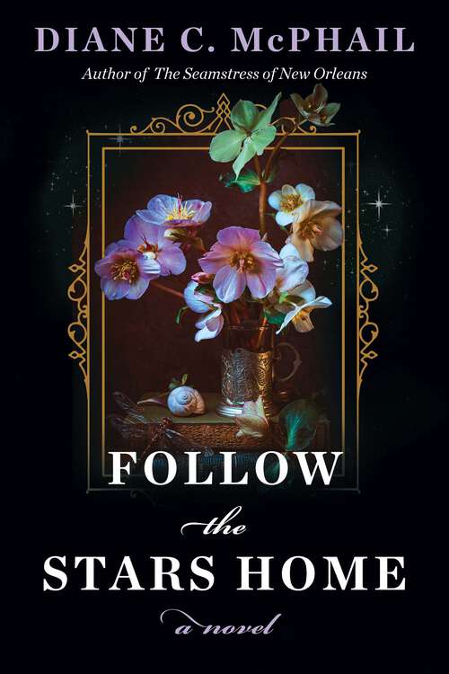 Book cover of Follow the Stars Home