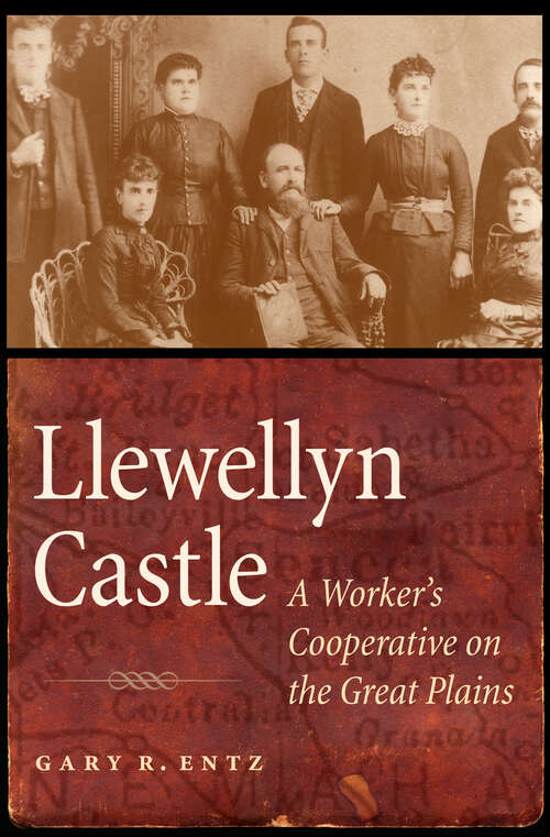 Book cover of Llewellyn Castle: A Worker's Cooperative on the Great Plains