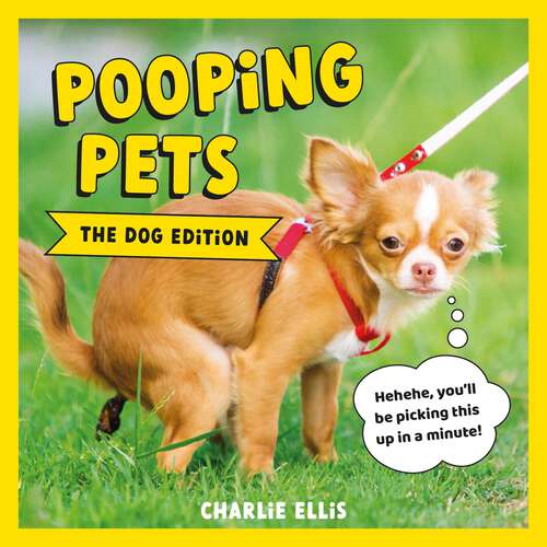 Pooping Pets: Hilarious Snaps of Doggos Taking a Dump