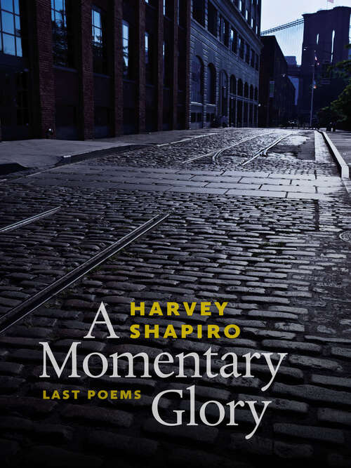 Book cover of A Momentary Glory: Last Poems (Wesleyan Poetry Series)