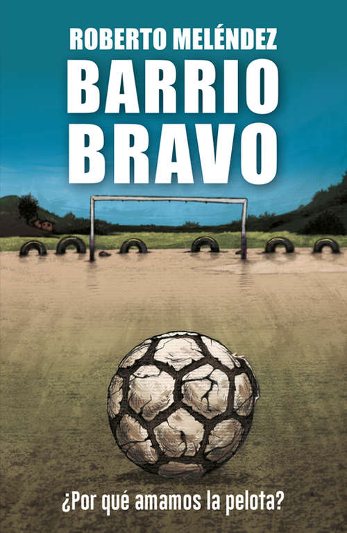 Book cover of Barrio Bravo