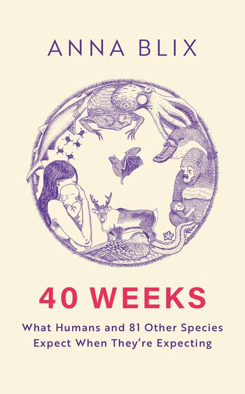 Book cover of 40 Weeks: What Humans and 81 Other Species Expect When They're Expecting