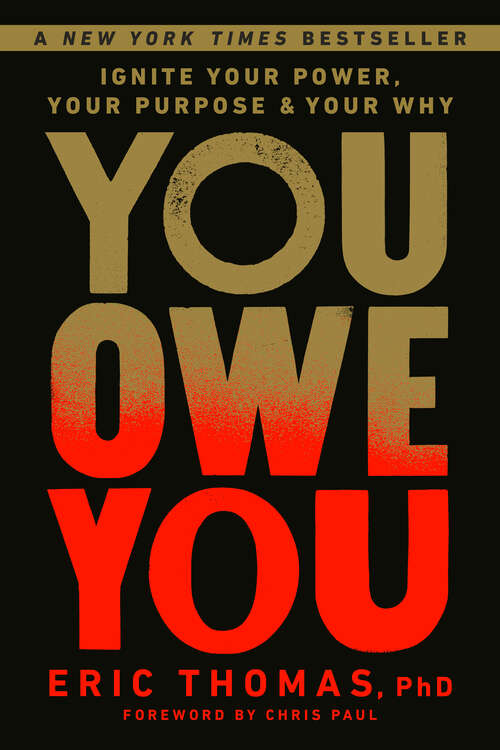 Book cover of You Owe You: Ignite Your Power, Your Purpose, and Your Why