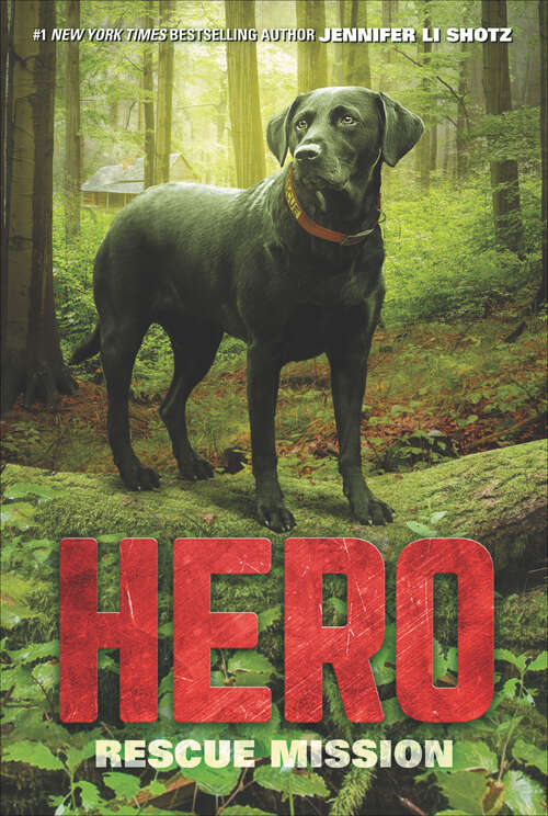 Book cover of Hero: Rescue Mission (Hero Ser. #3)
