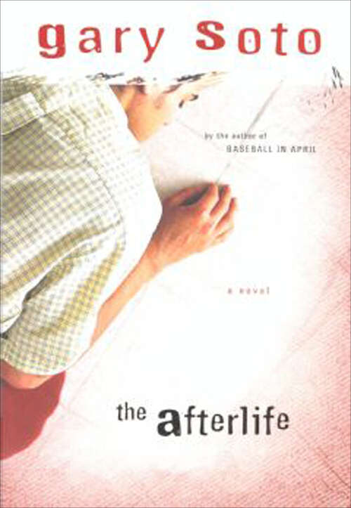 Book cover of The Afterlife: A Novel
