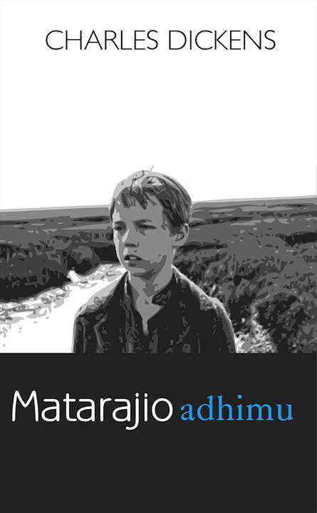 Book cover of Matarajio Adimu (Great Expectations)