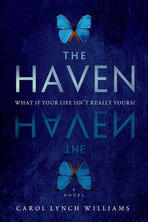 Book cover of The Haven: A Novel