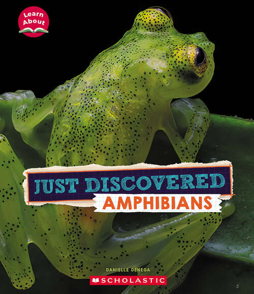 Book cover of Just Discovered Amphibians (Learn About)