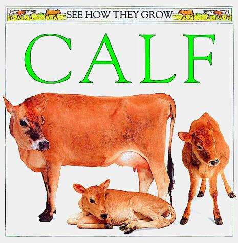 See How They Grow: Calf