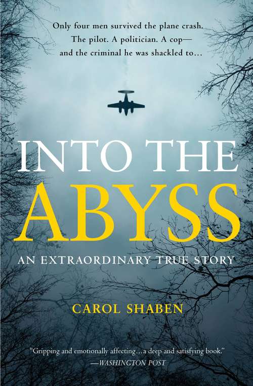 Book cover of Into the Abyss