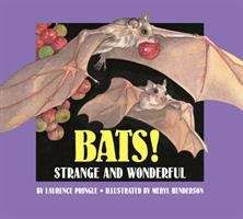 Bats!: Strange And Wonderful