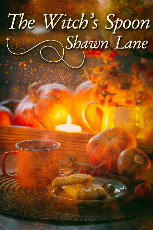 Book cover of The Witch's Spoon