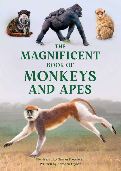 Book cover of The Magnificent Book of Monkeys and Apes (The Magnificent Book of)