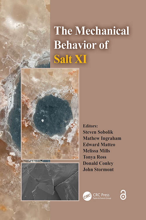 Book cover of The Mechanical Behavior of Salt XI (1)