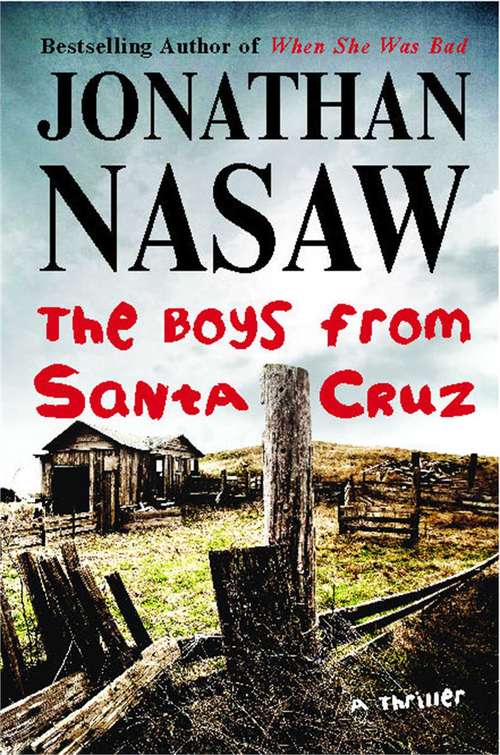 Book cover of The Boys from Santa Cruz