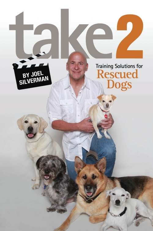 Book cover of Take 2