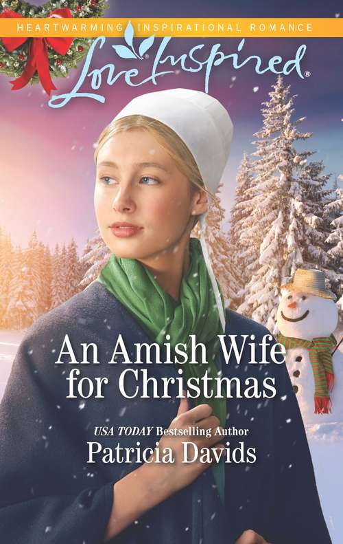 An Amish Wife for Christmas (North Country Amish)