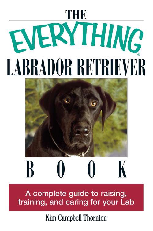 Book cover of The Everything Labrador Retriever Book: A Complete Guide to Raising, Training, and Caring for Your Lab