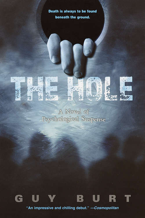 Book cover of The Hole