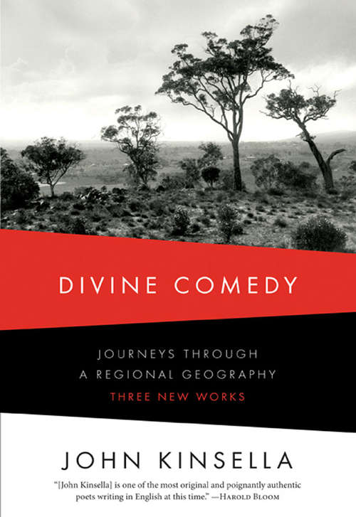 Book cover of Divine Comedy: Journeys Through a Regional Geography: Three New Works