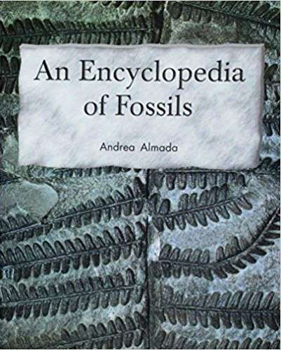 Book cover of An Encyclopedia of Fossils (Rigby Leveled Library, Level M #71)