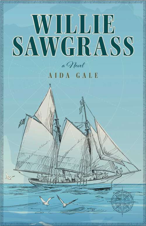 Book cover of Willie Sawgrass