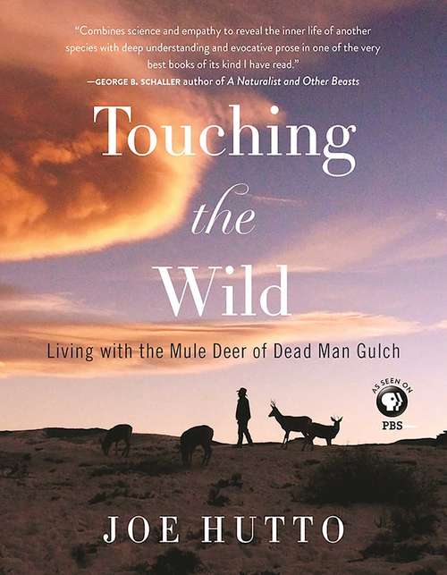 Book cover of Touching the Wild
